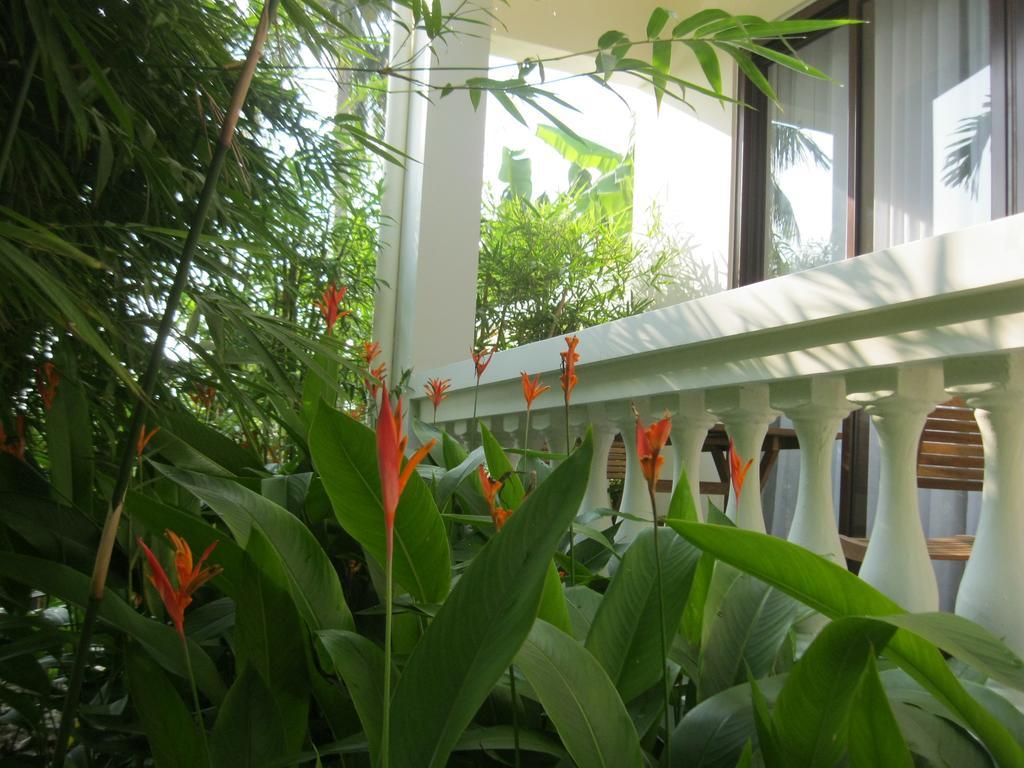 Palm View Villa Hội An Kültér fotó